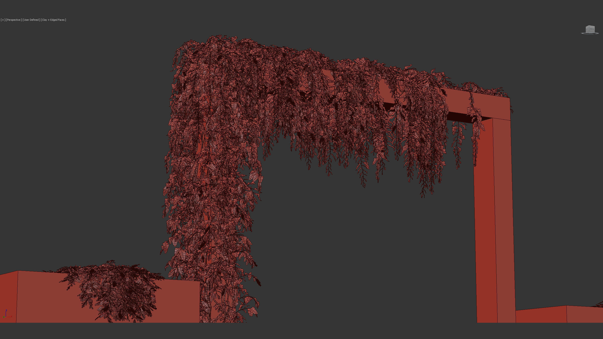 Grevillea royal mantle Poorinda royal mantle 3D Model 3D model_12