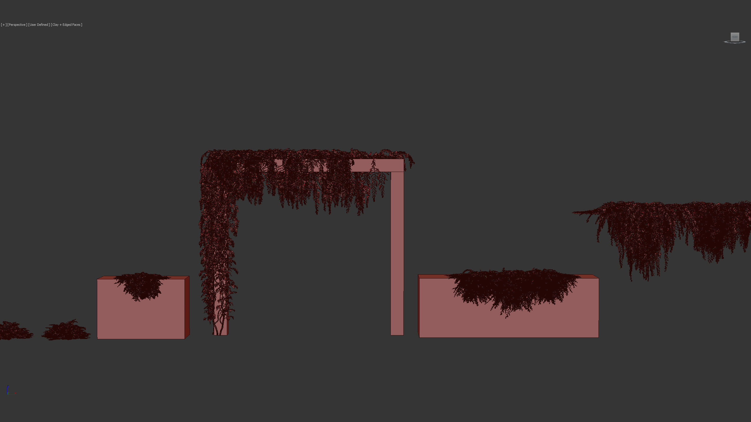 Grevillea royal mantle Poorinda royal mantle 3D Model 3D model_10