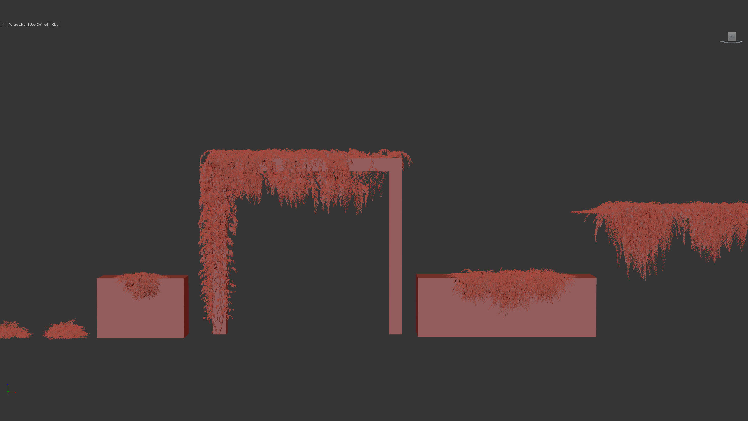 Grevillea royal mantle Poorinda royal mantle 3D Model 3D model_9