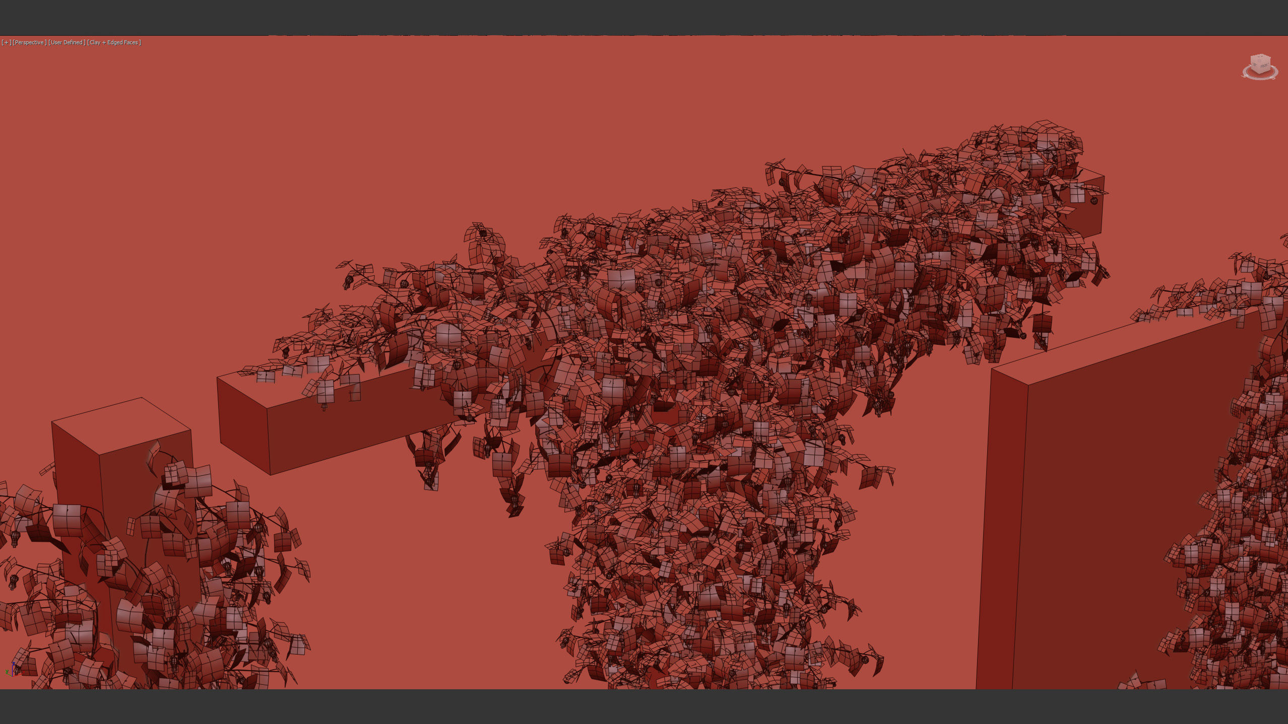 Abutilon megapotamicum Trailing Abutilon  3D model_12