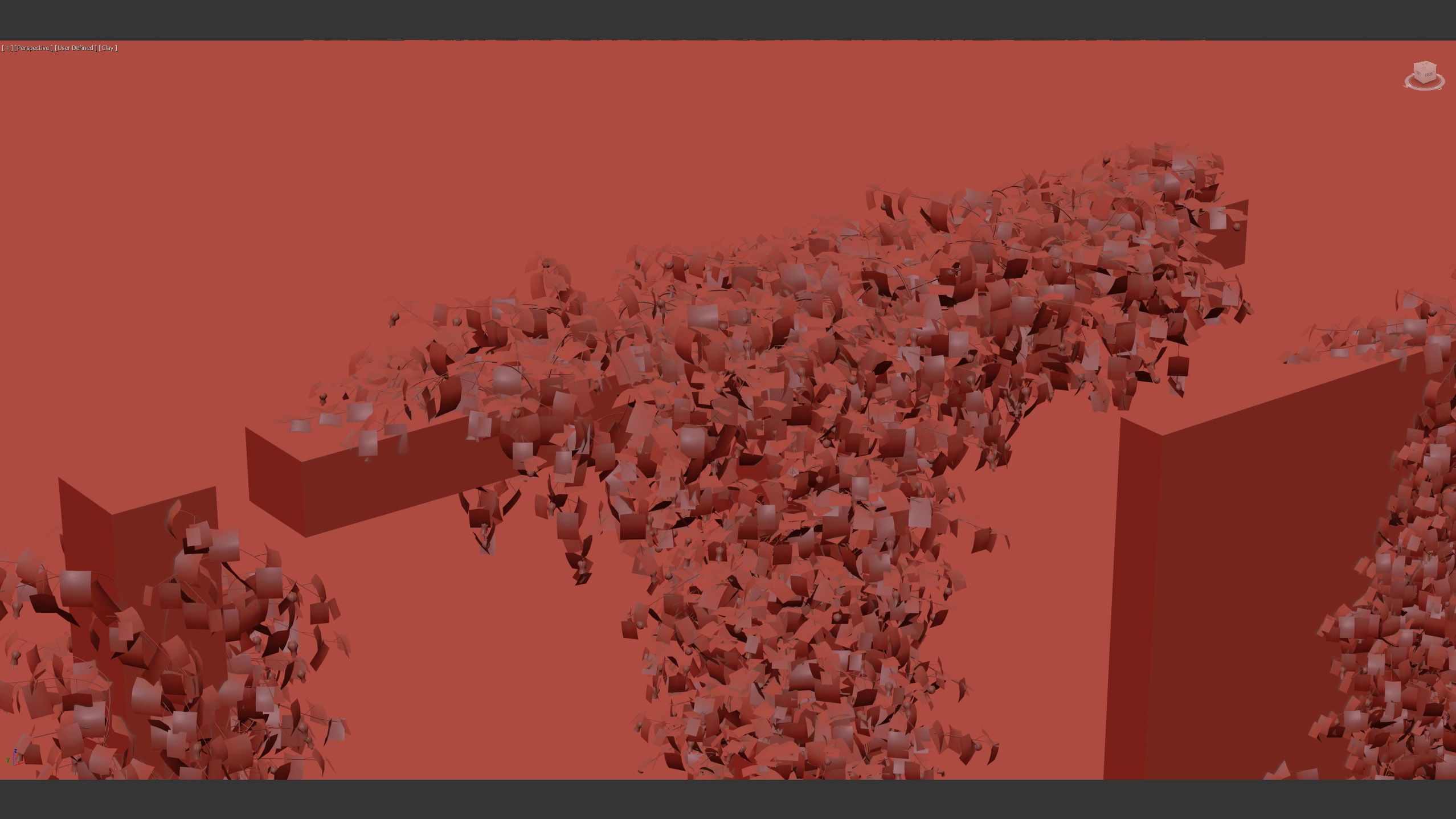 Abutilon megapotamicum Trailing Abutilon  3D model_11