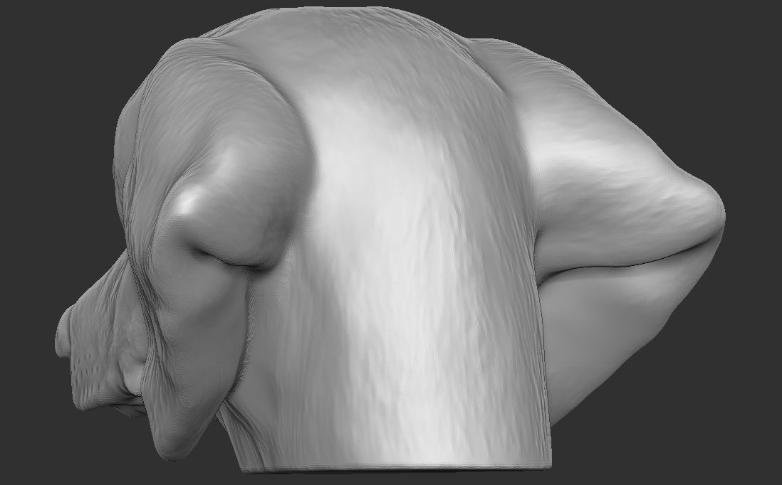 Dachshund dog head for 3D printing 3D print model_14