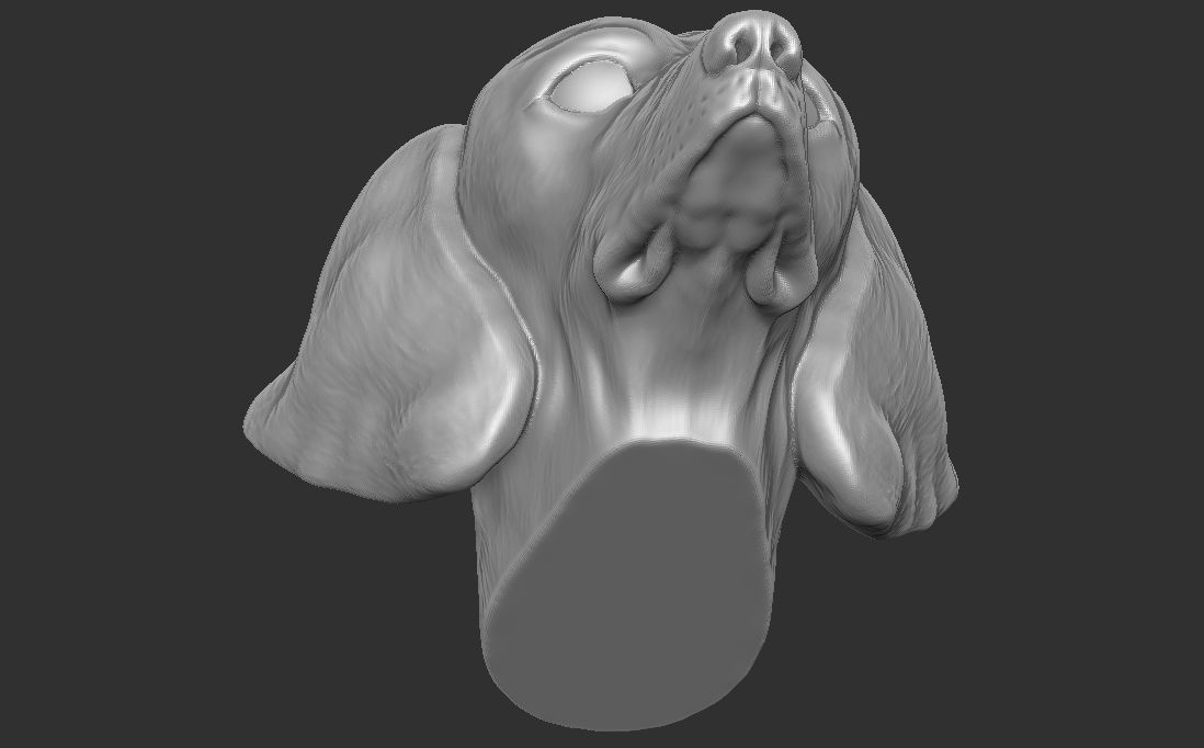 Dachshund dog head for 3D printing 3D print model_22