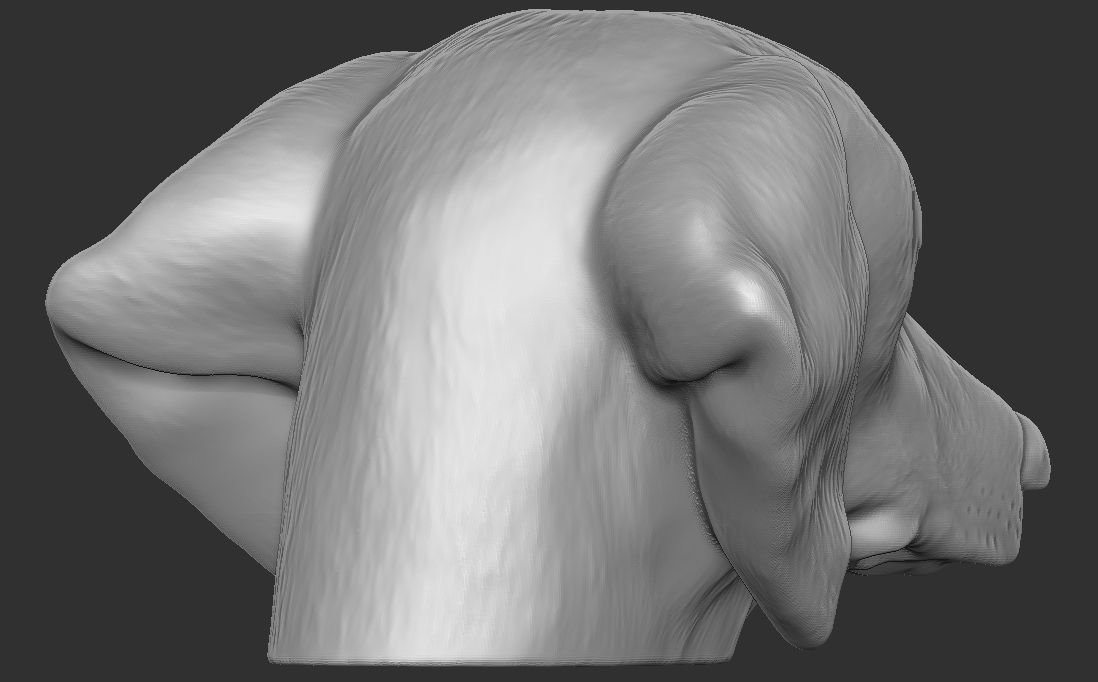 Dachshund dog head for 3D printing 3D print model_12