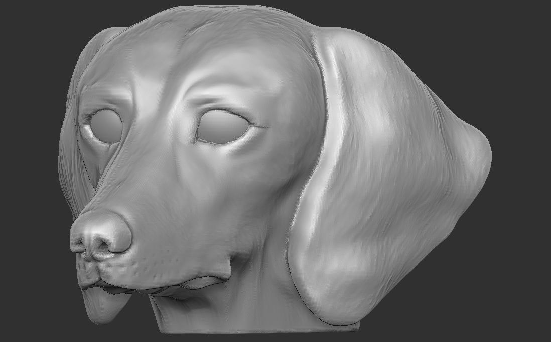 Dachshund dog head for 3D printing 3D print model_5