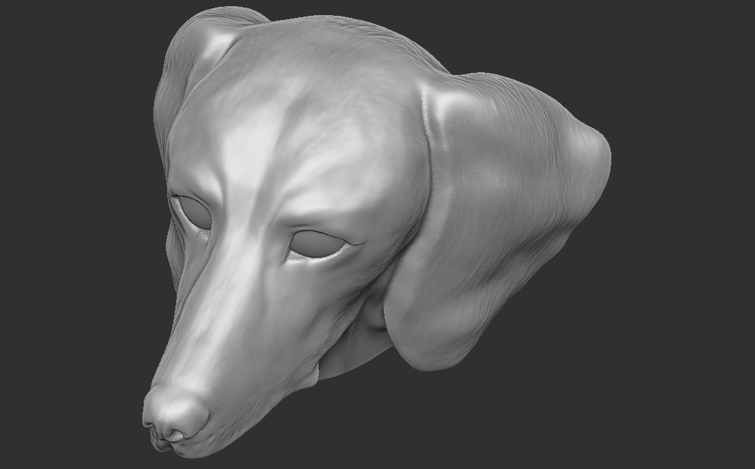 Dachshund dog head for 3D printing 3D print model_20