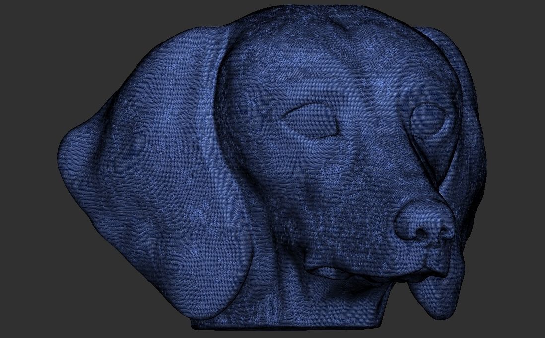 Dachshund dog head for 3D printing 3D print model_24