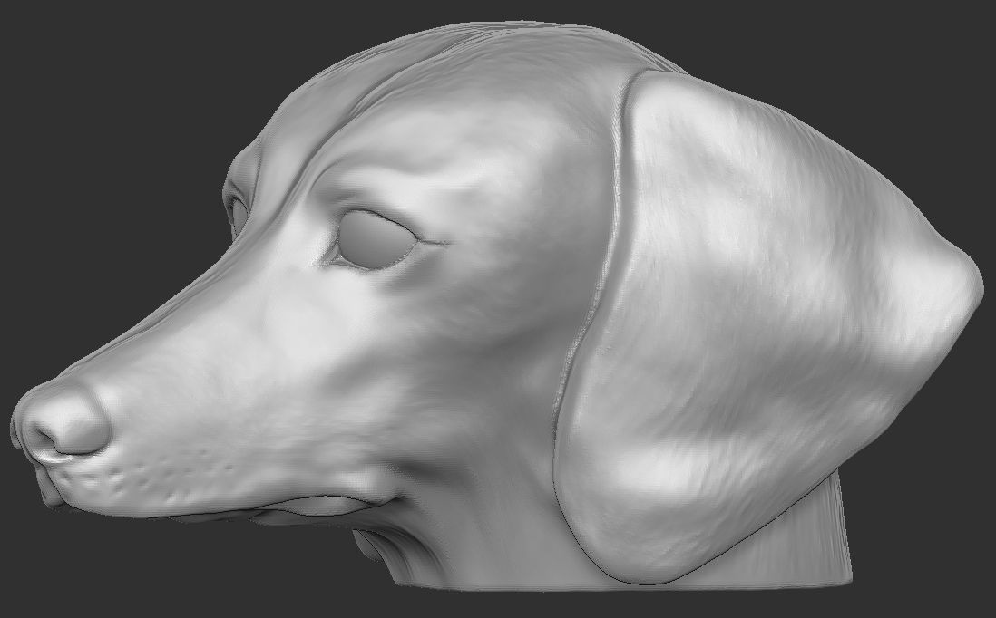 Dachshund dog head for 3D printing 3D print model_17