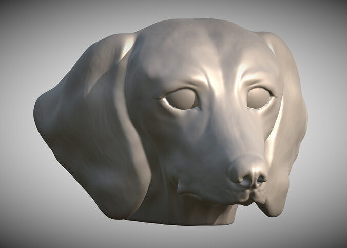 Dachshund dog head for 3D printing 3D print model