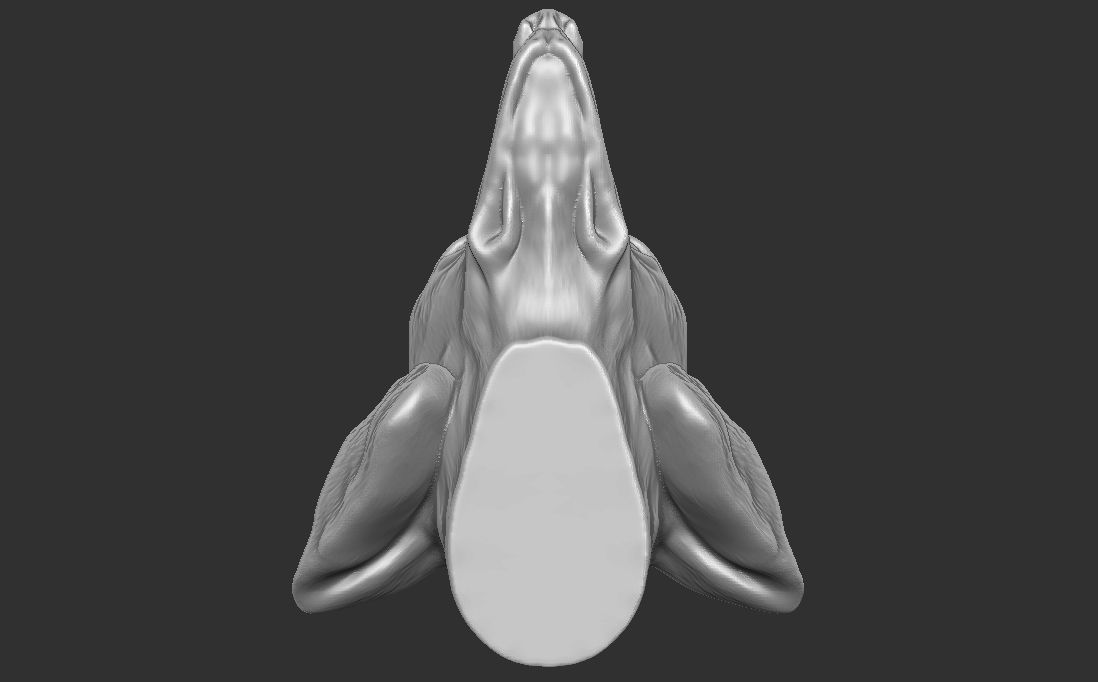 Dachshund dog head for 3D printing 3D print model_23