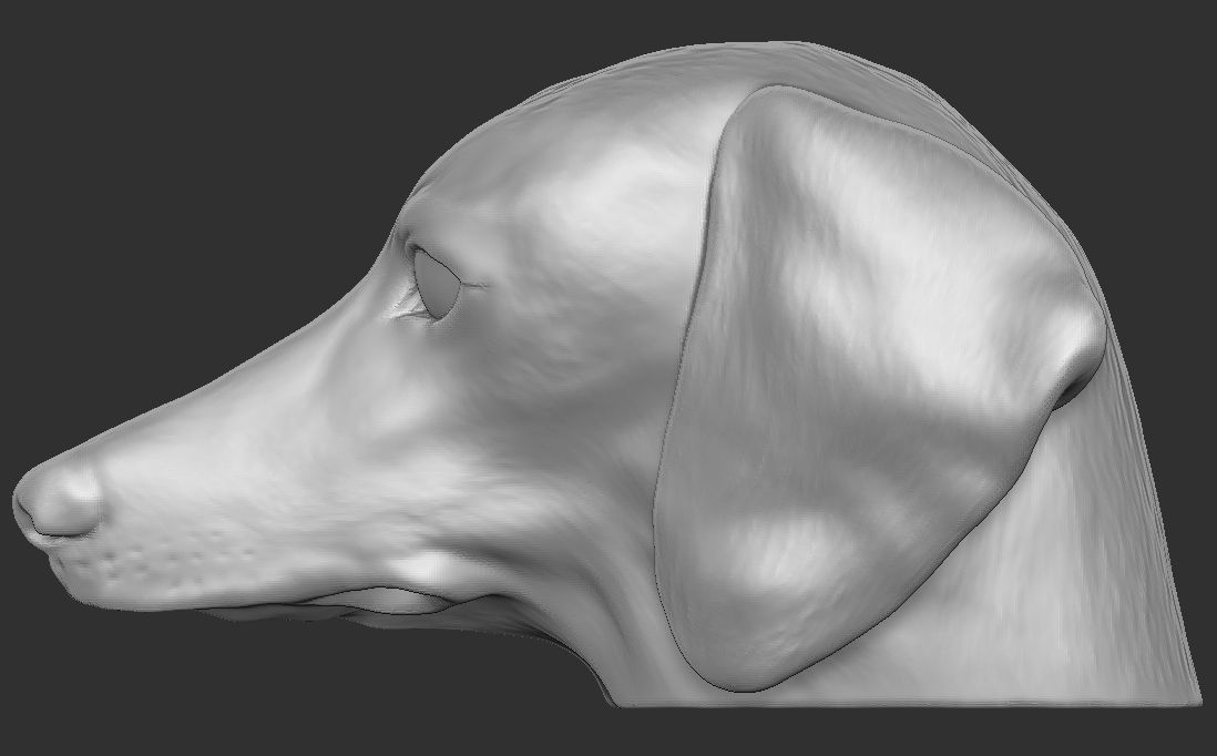 Dachshund dog head for 3D printing 3D print model_16