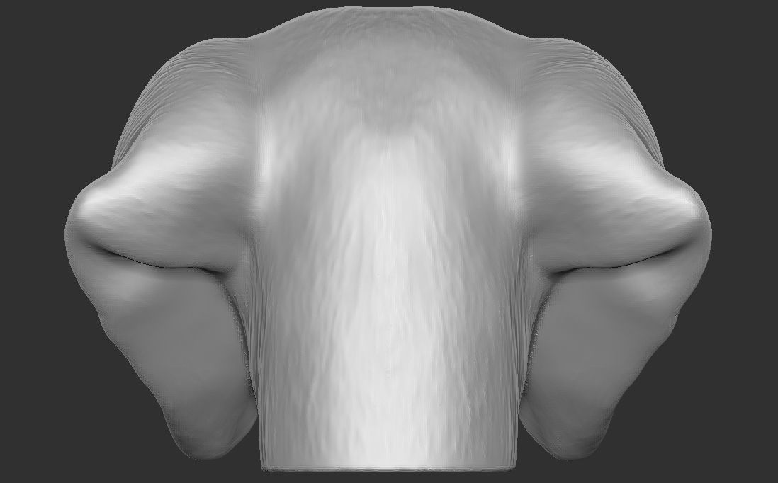 Dachshund dog head for 3D printing 3D print model_13