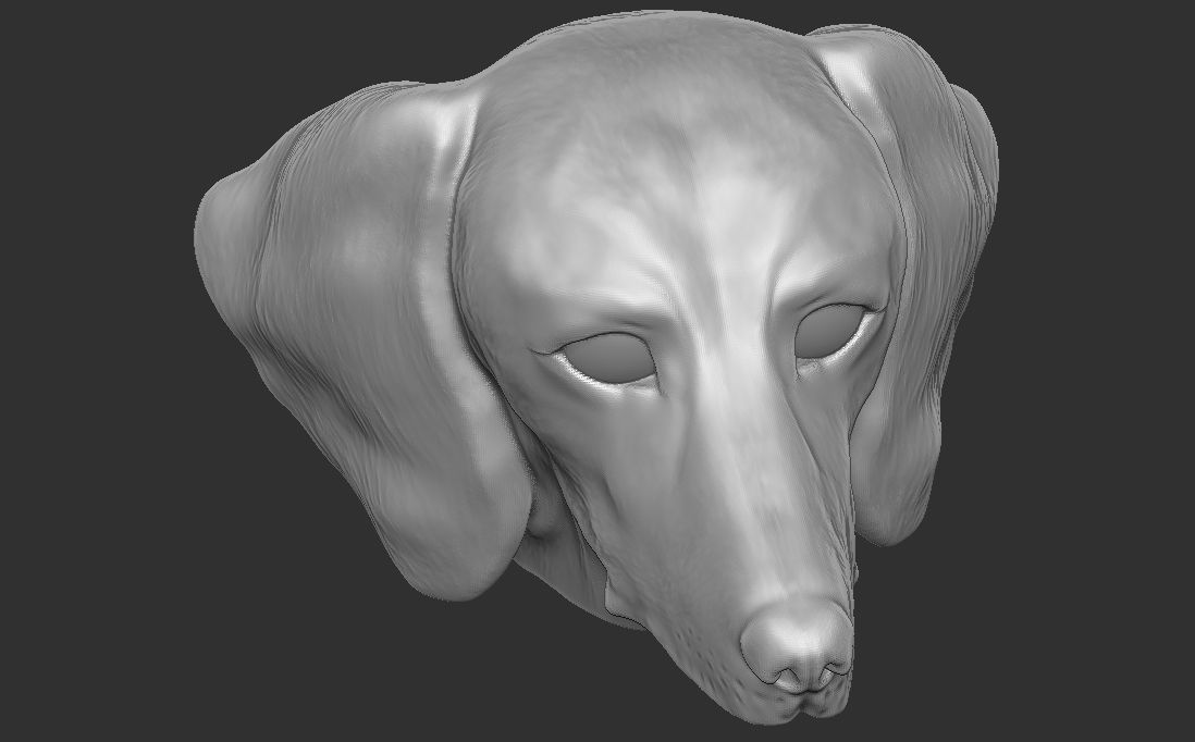 Dachshund dog head for 3D printing 3D print model_19