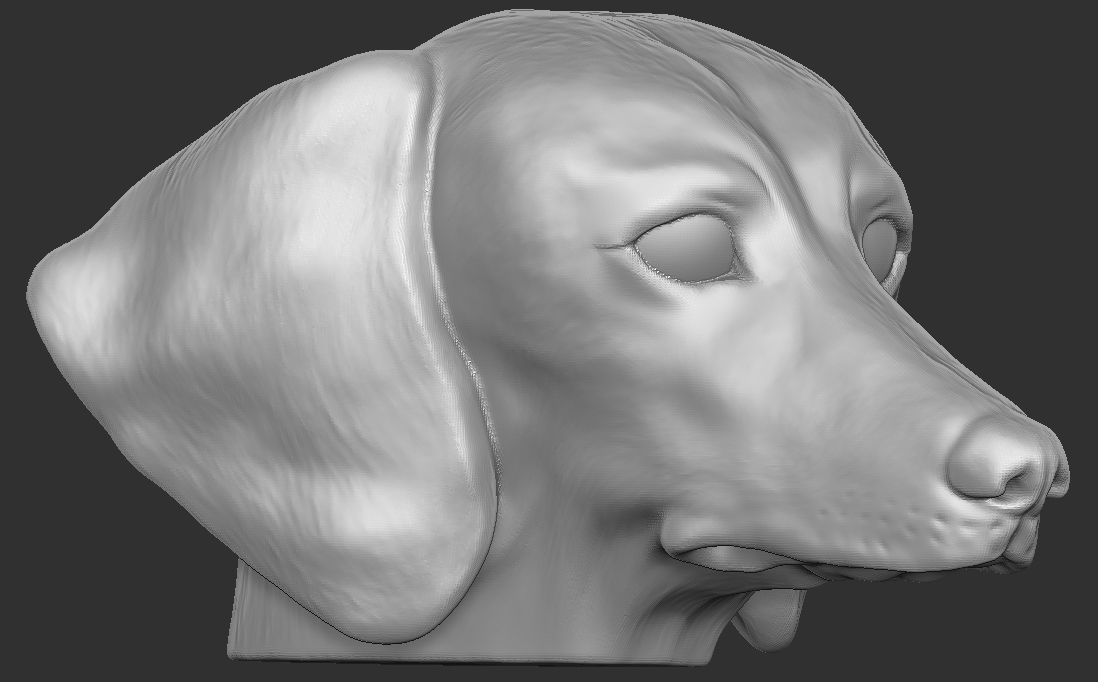 Dachshund dog head for 3D printing 3D print model_9