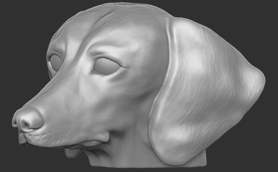 Dachshund dog head for 3D printing 3D print model_18