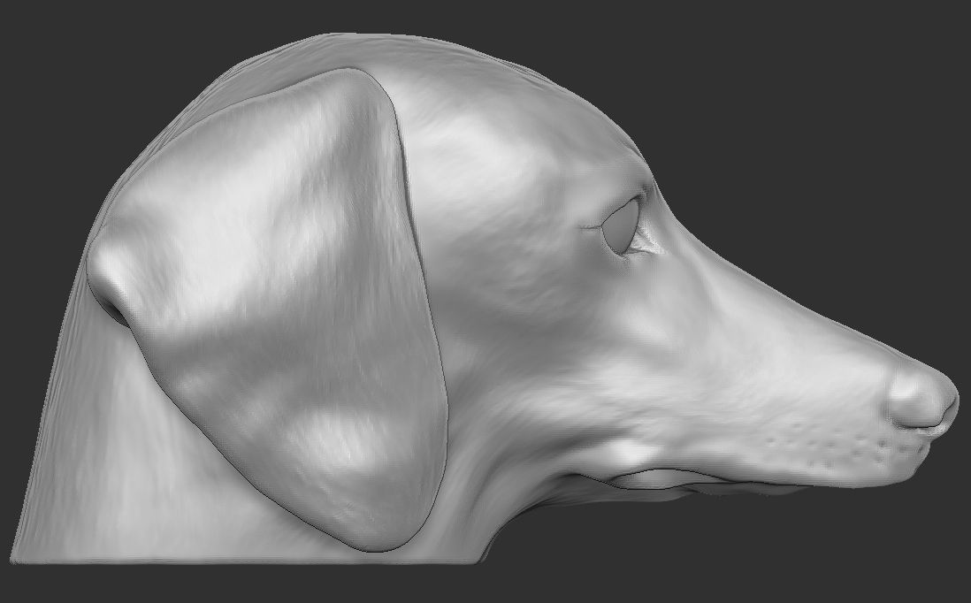 Dachshund dog head for 3D printing 3D print model_10