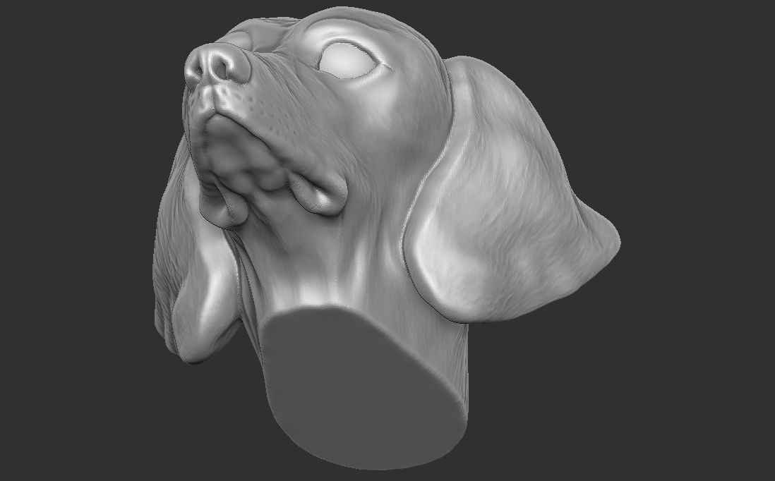 Dachshund dog head for 3D printing 3D print model_21
