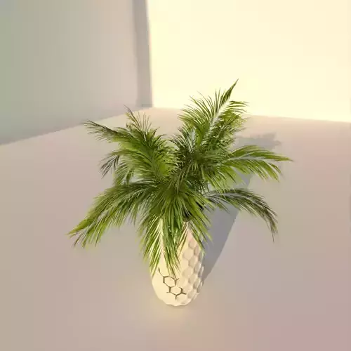 Small Palm tree 3D model