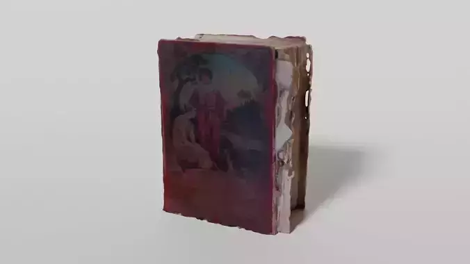 A worn old book