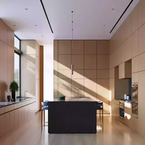 Luxury Modern Kitchen