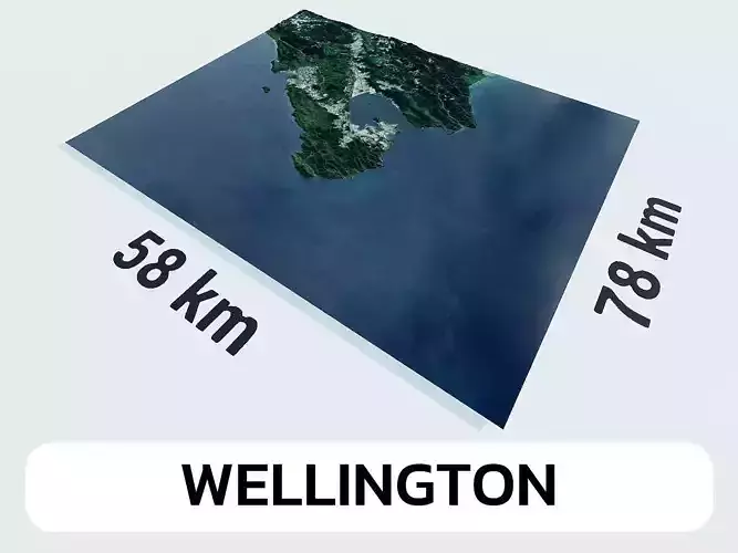 Wellington New Zealand City Landscape 3D Model