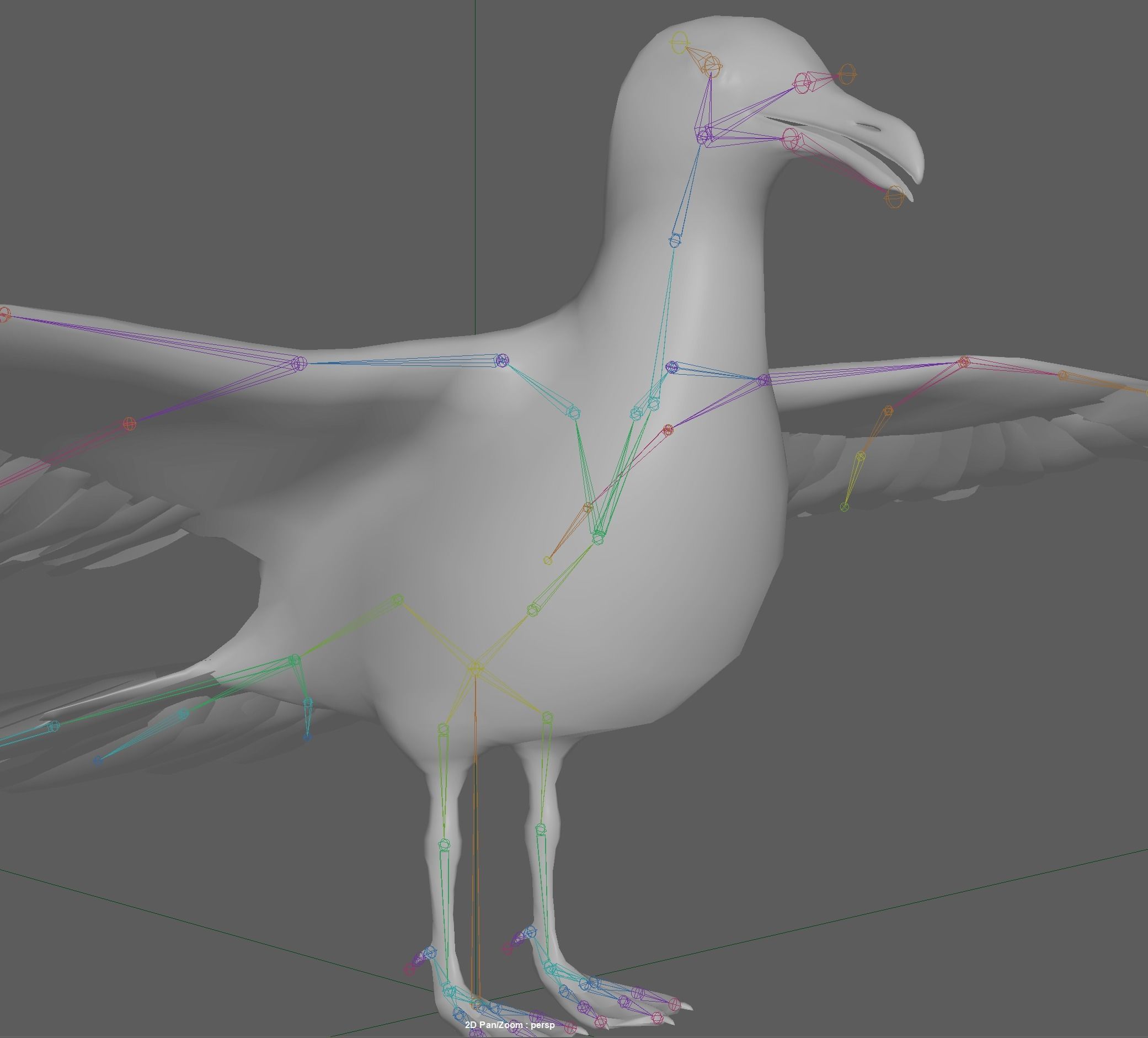 Seagull 3D model_14