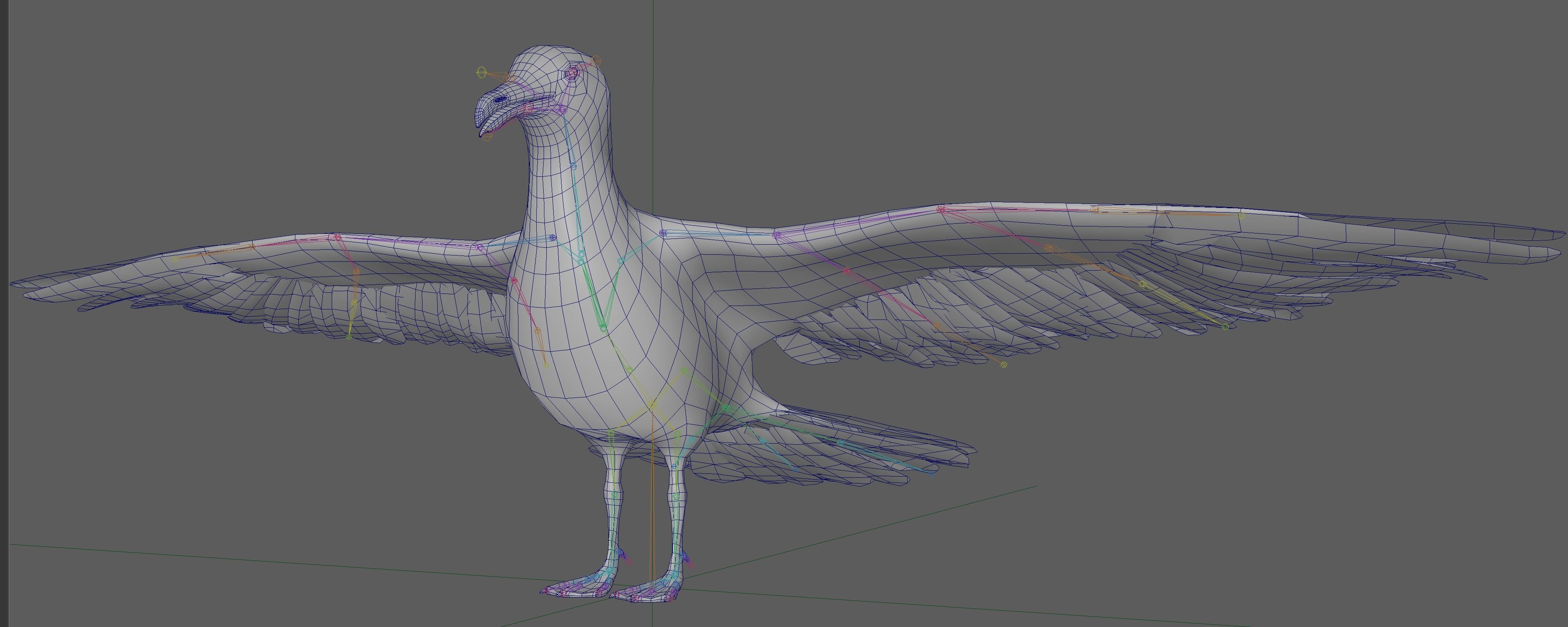 Seagull 3D model_15