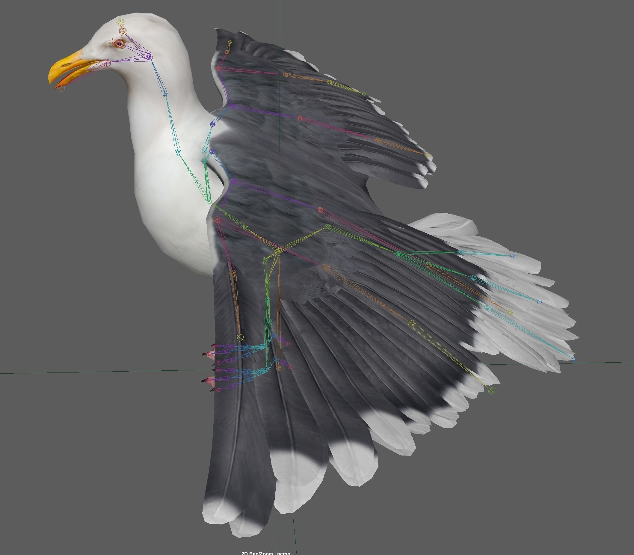 Seagull 3D model_23