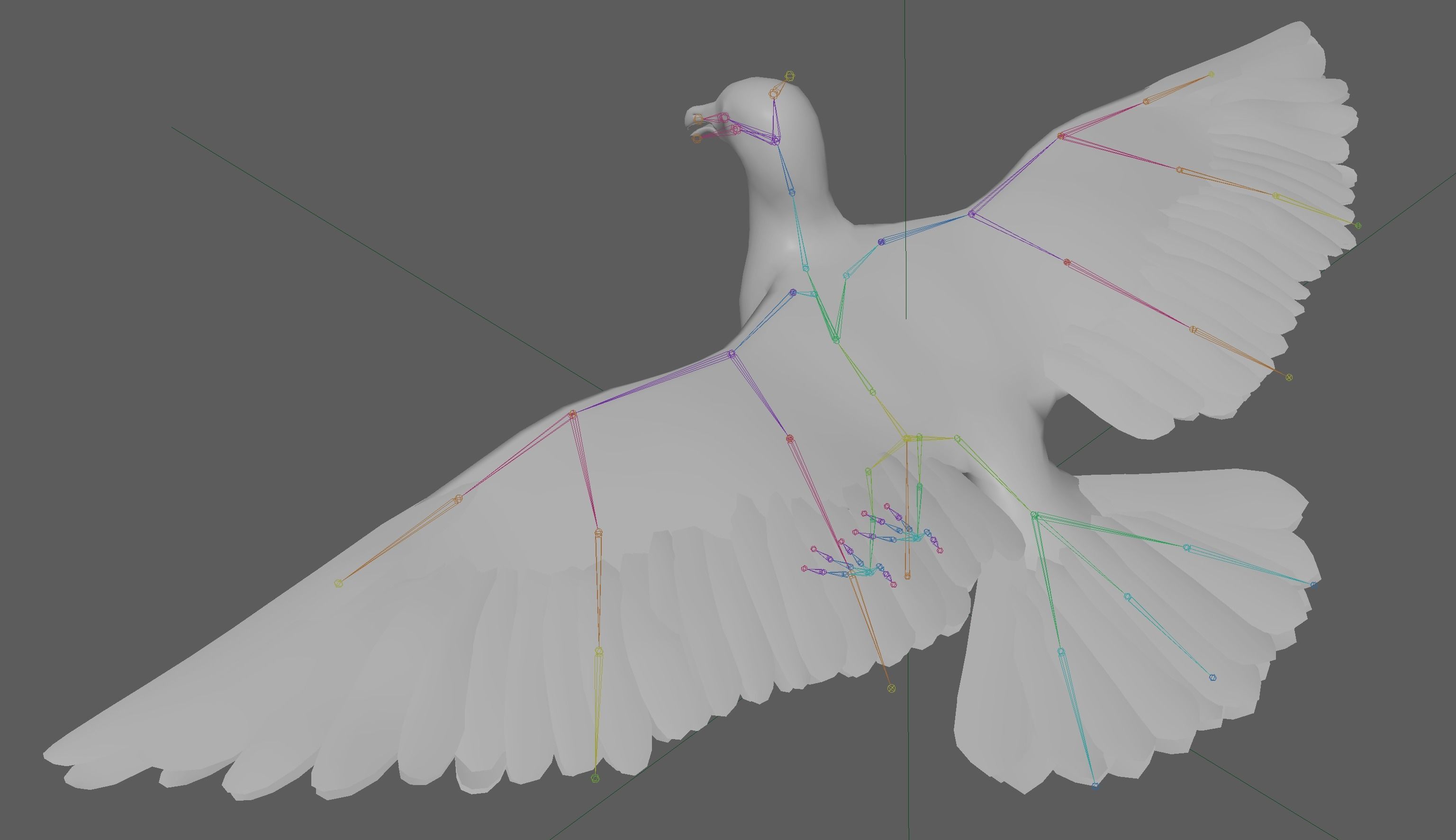 Seagull 3D model_22