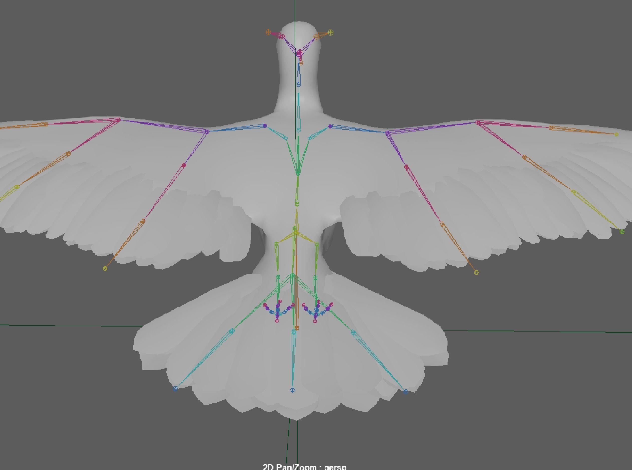 Seagull 3D model_13