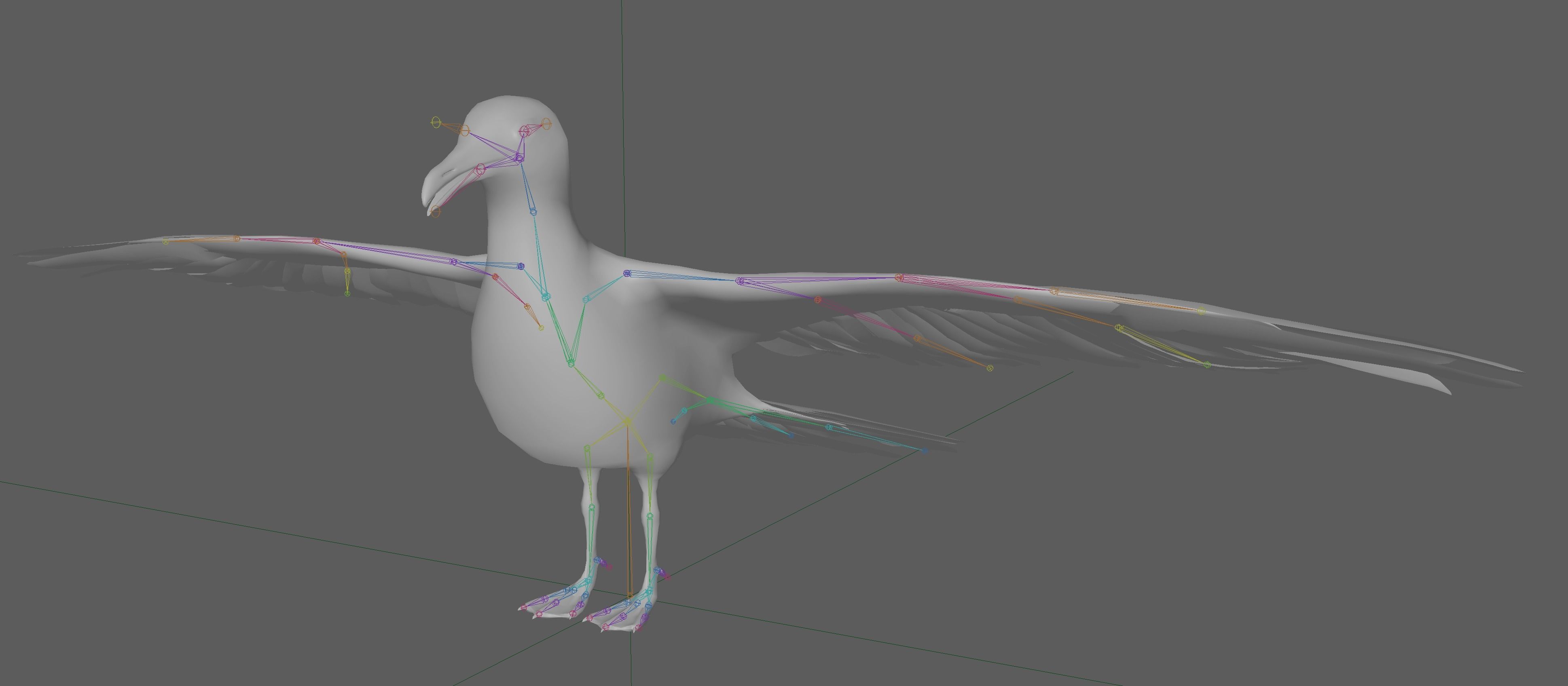 Seagull 3D model_10