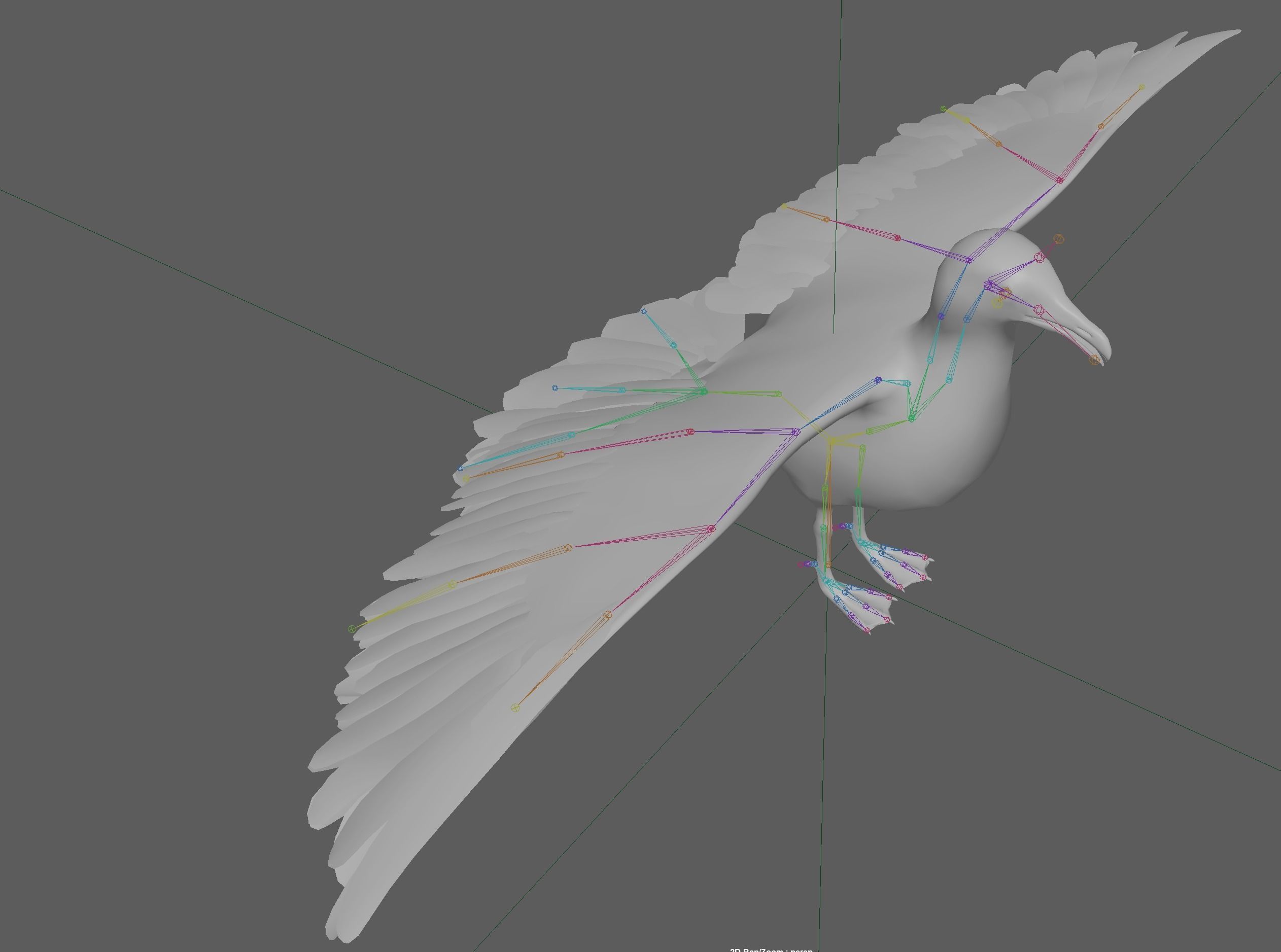 Seagull 3D model_12