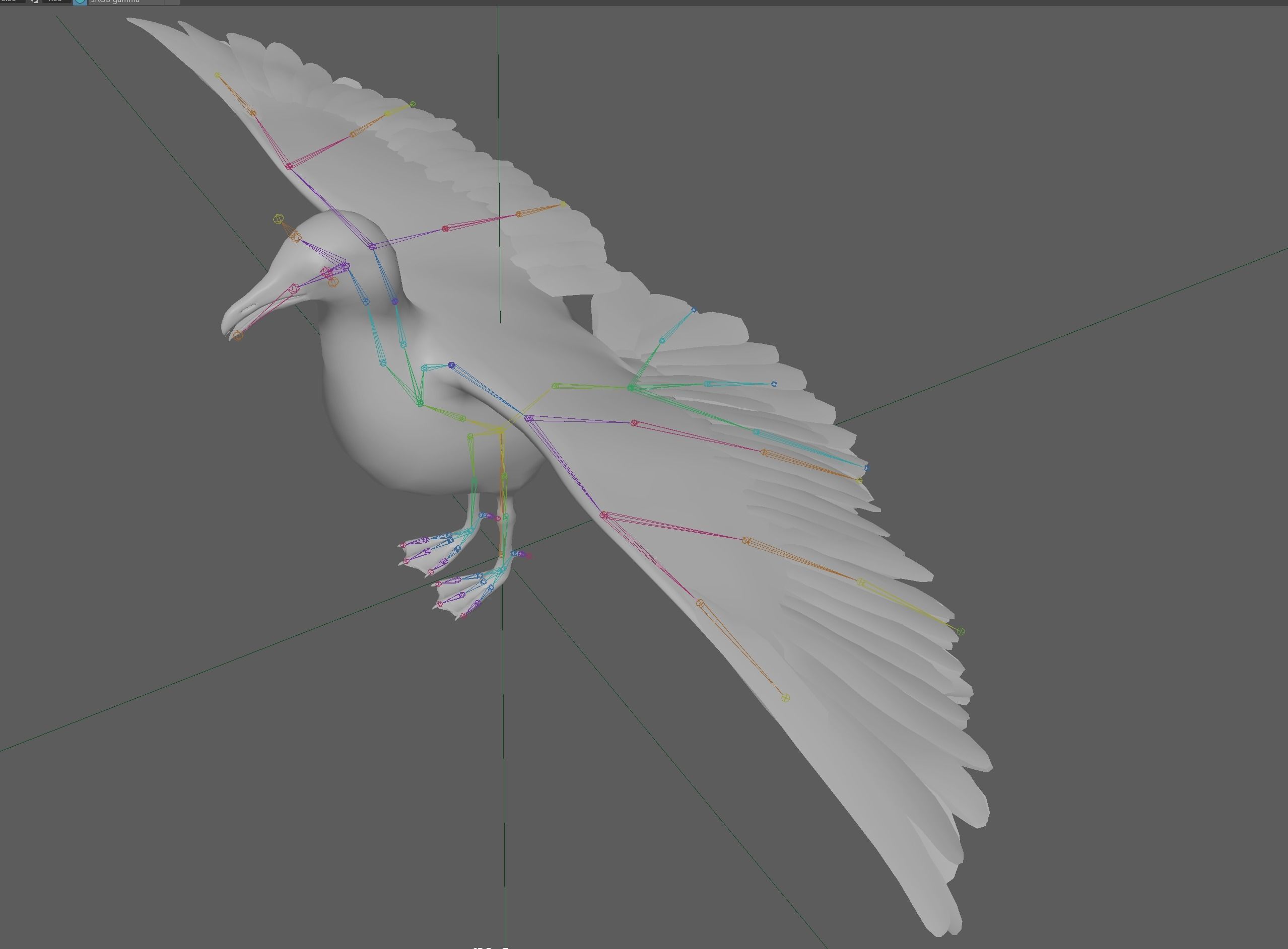 Seagull 3D model_11