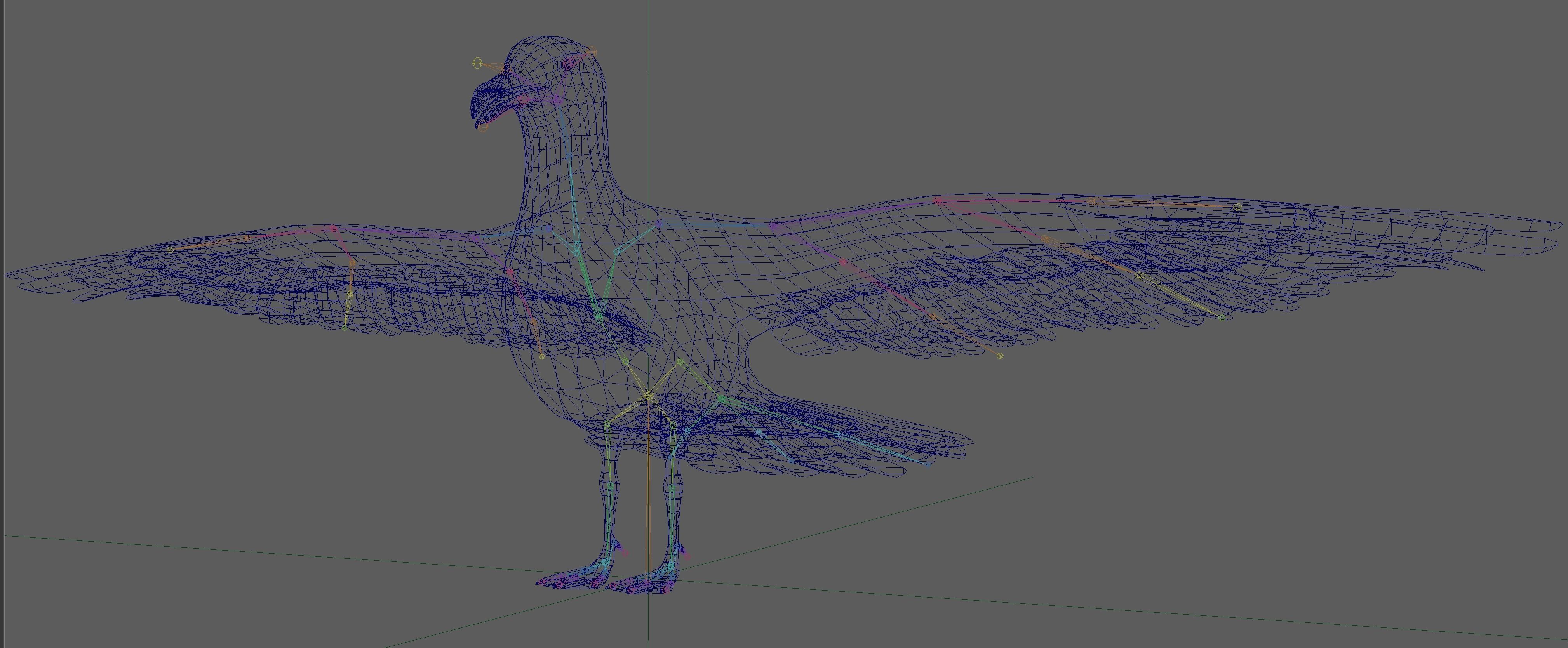 Seagull 3D model_16