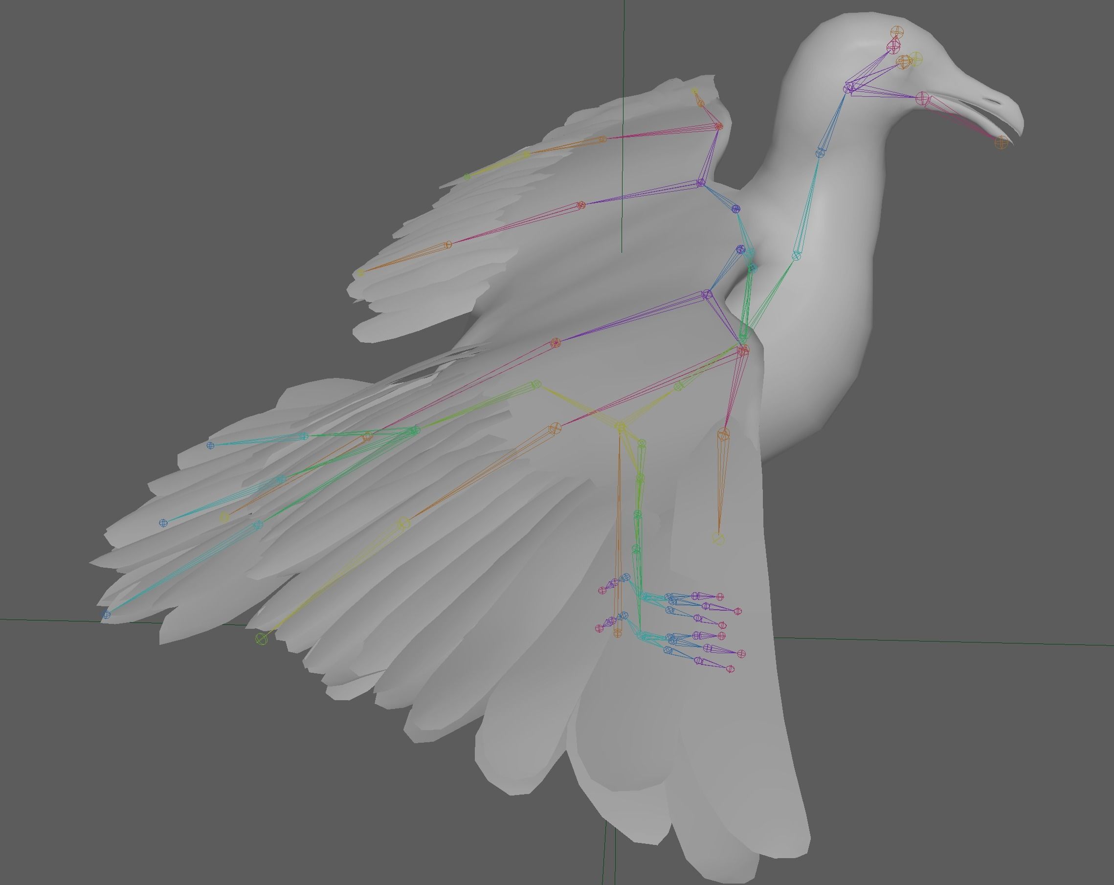 Seagull 3D model_20