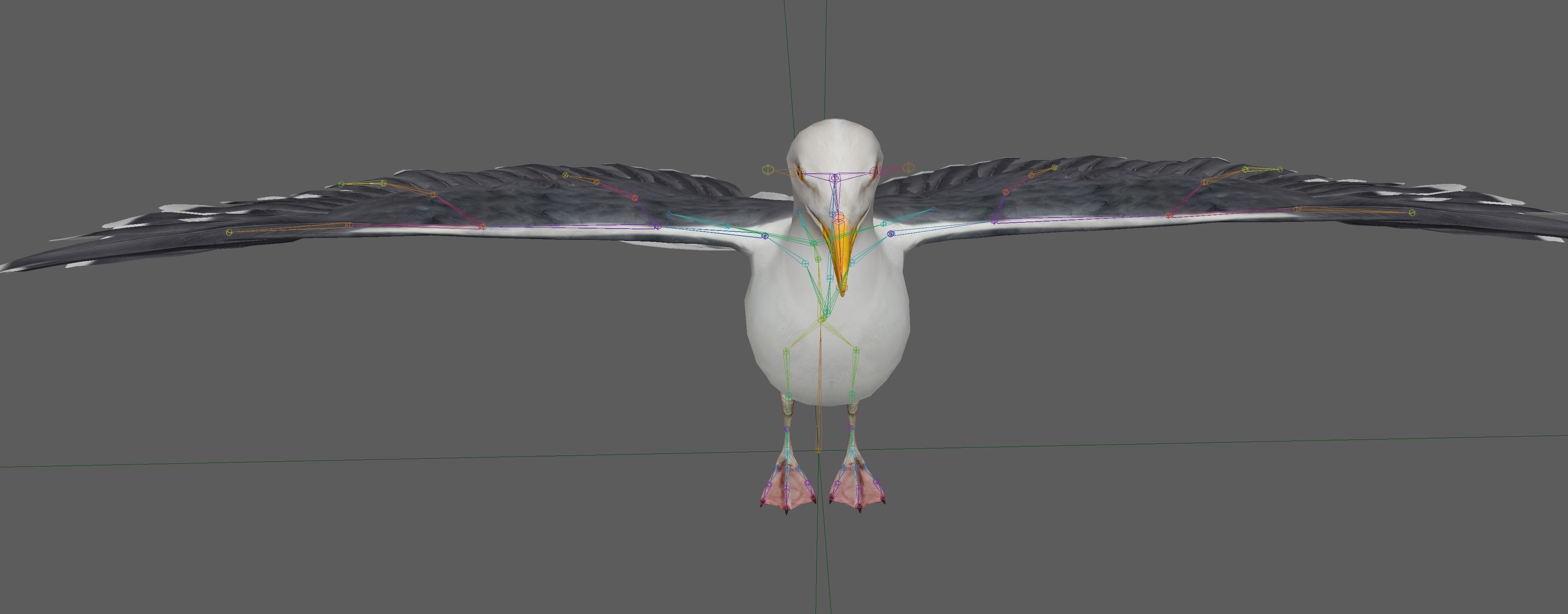 Seagull 3D model_17