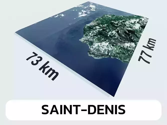 Saint-Denis Reunion City Landscape 3D Model