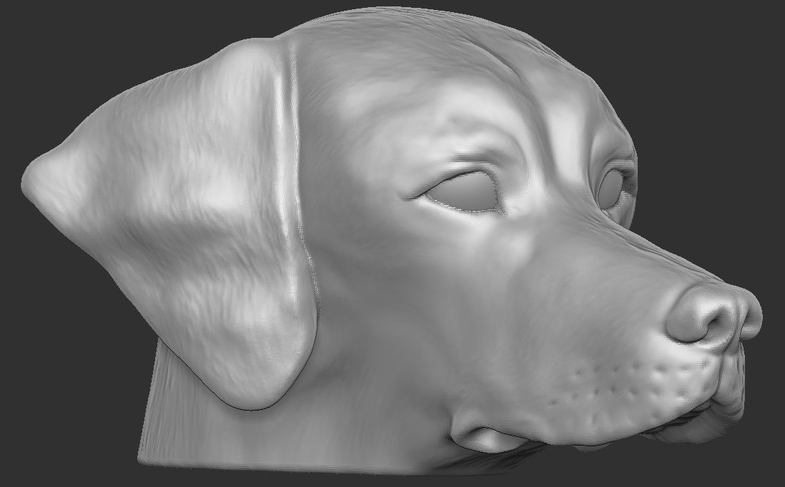Pointer dog head for 3D printing 3D print model_8