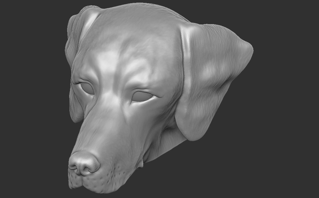 Pointer dog head for 3D printing 3D print model_21