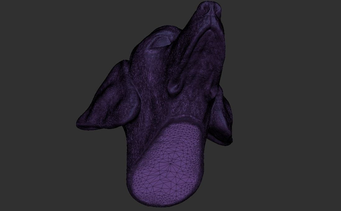 Pointer dog head for 3D printing 3D print model_24