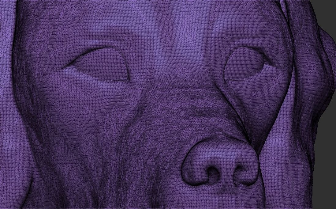 Pointer dog head for 3D printing 3D print model_23