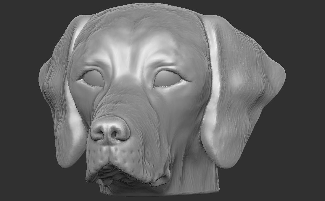 Pointer dog head for 3D printing 3D print model_3