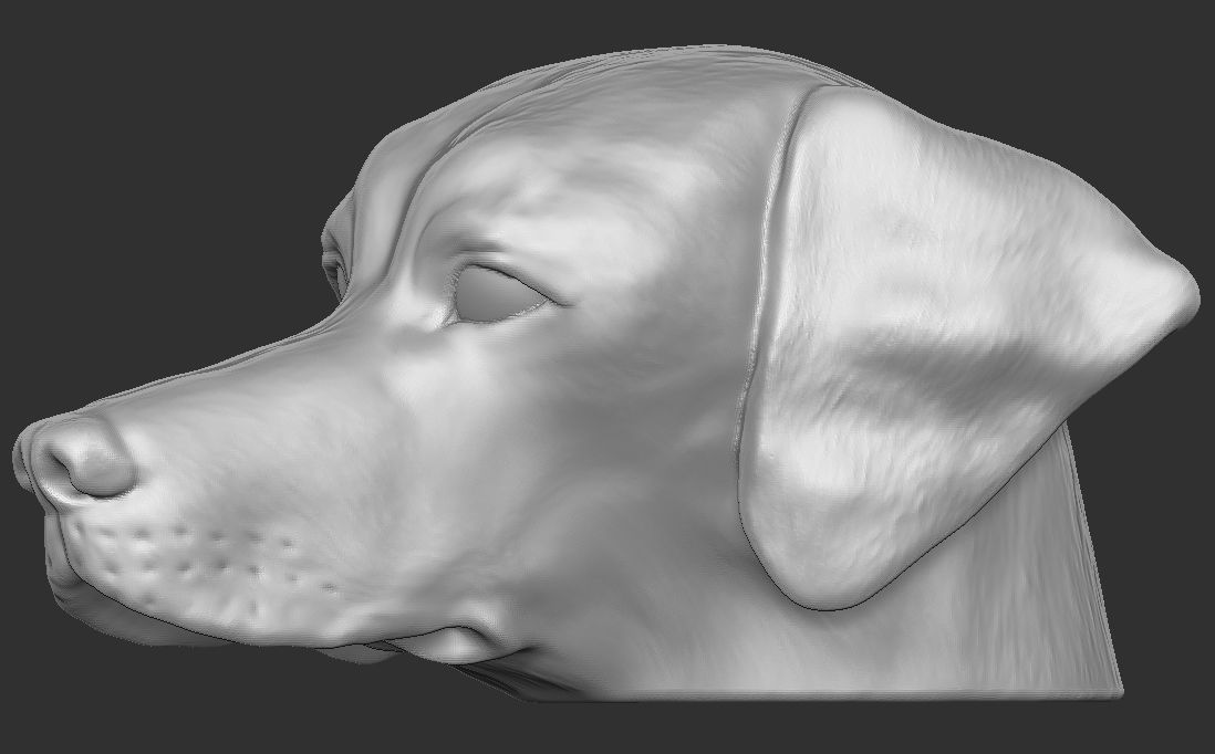 Pointer dog head for 3D printing 3D print model_15