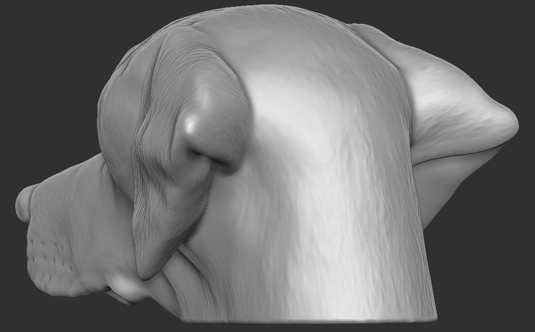 Pointer dog head for 3D printing 3D print model_13