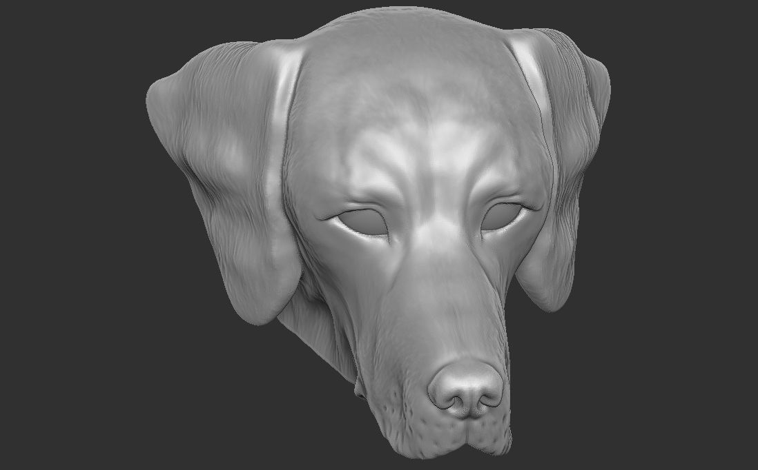 Pointer dog head for 3D printing 3D print model_20