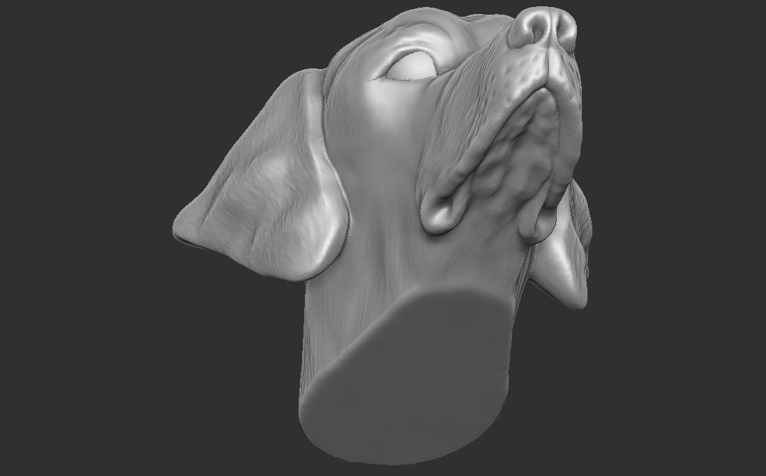 Pointer dog head for 3D printing 3D print model_18