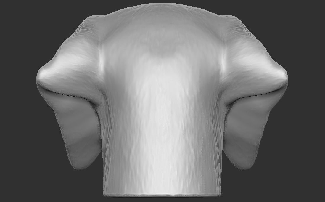 Pointer dog head for 3D printing 3D print model_12