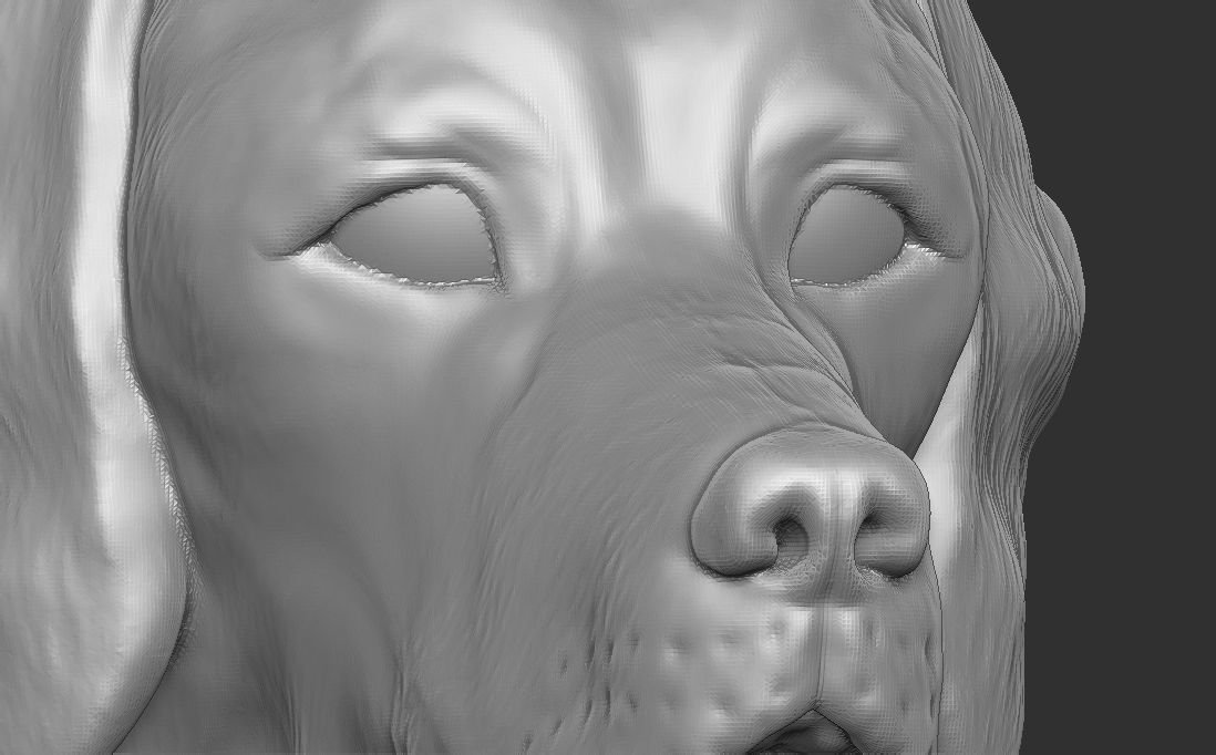 Pointer dog head for 3D printing 3D print model_17