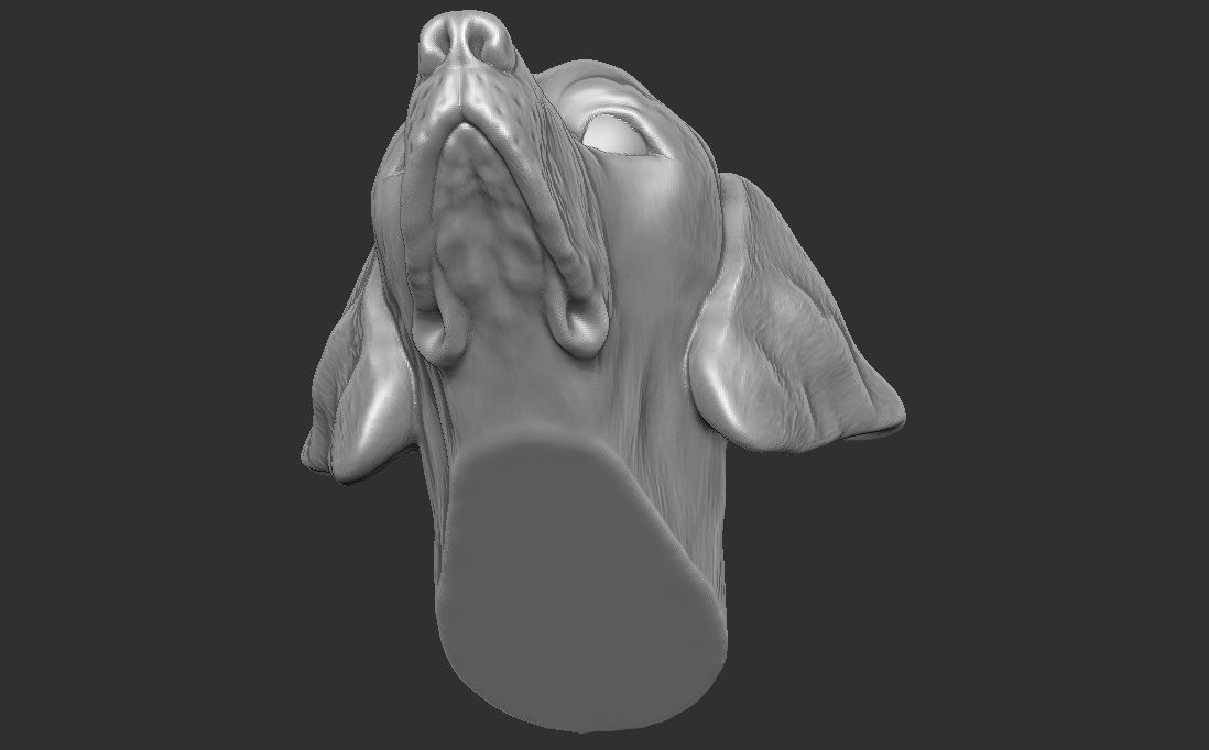 Pointer dog head for 3D printing 3D print model_19