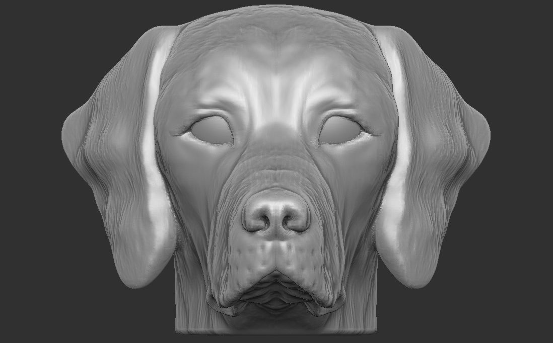 Pointer dog head for 3D printing 3D print model_5